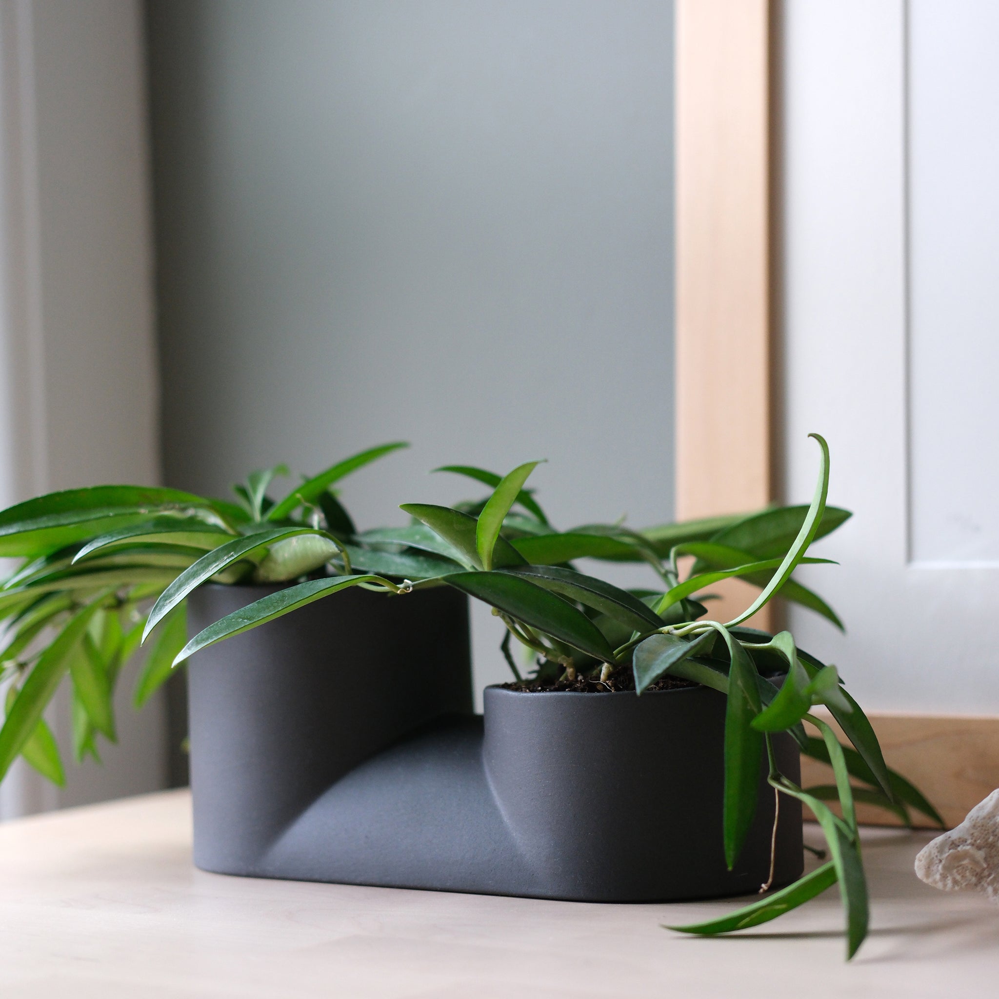 Double Planter Dune