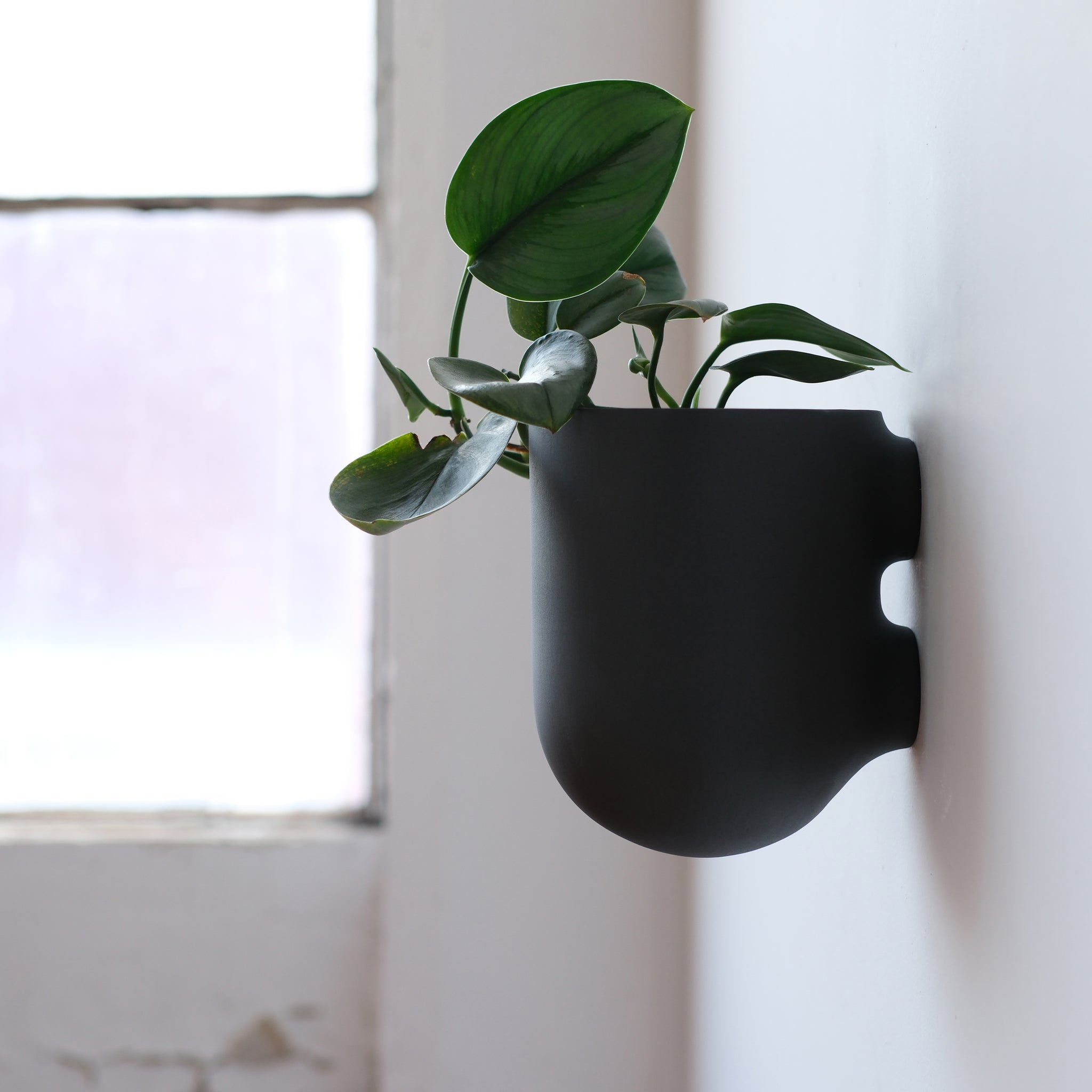 wall plant pots indoor Bender Wall Planter Bone