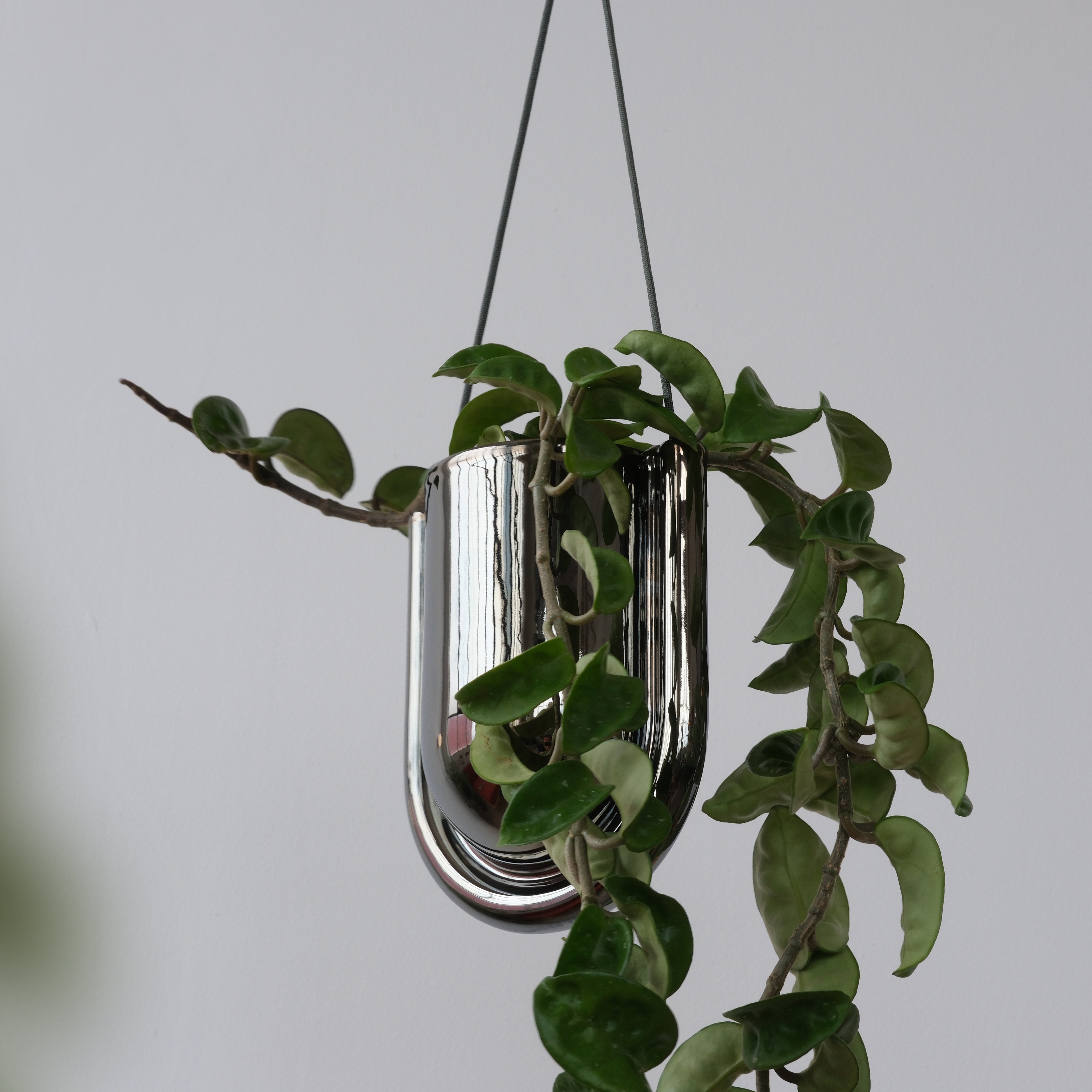 chrome hanging planter Portico Planter