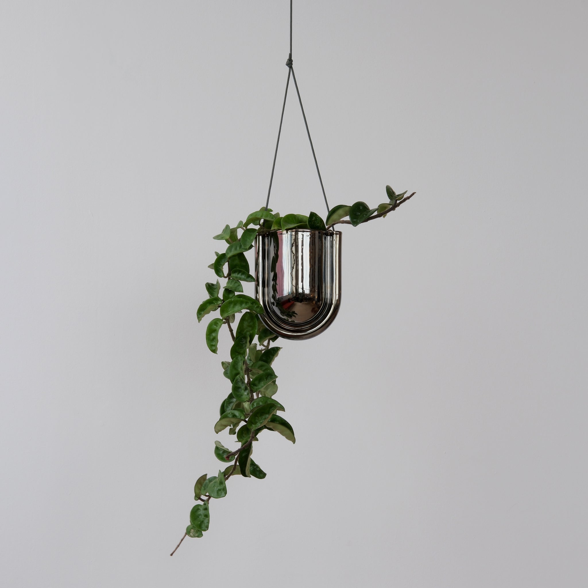 chrome hanging planter Portico Planter