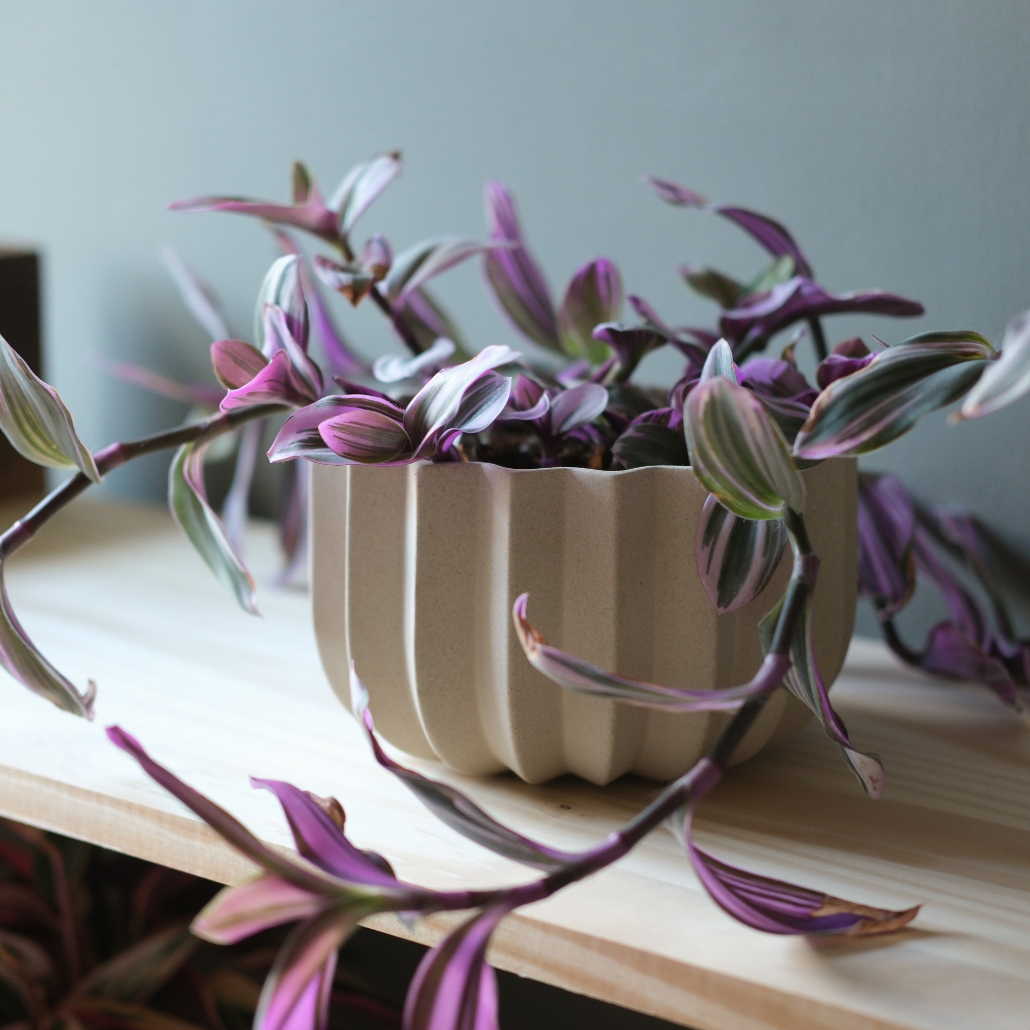 wrap around plant pots Wrap Planter
