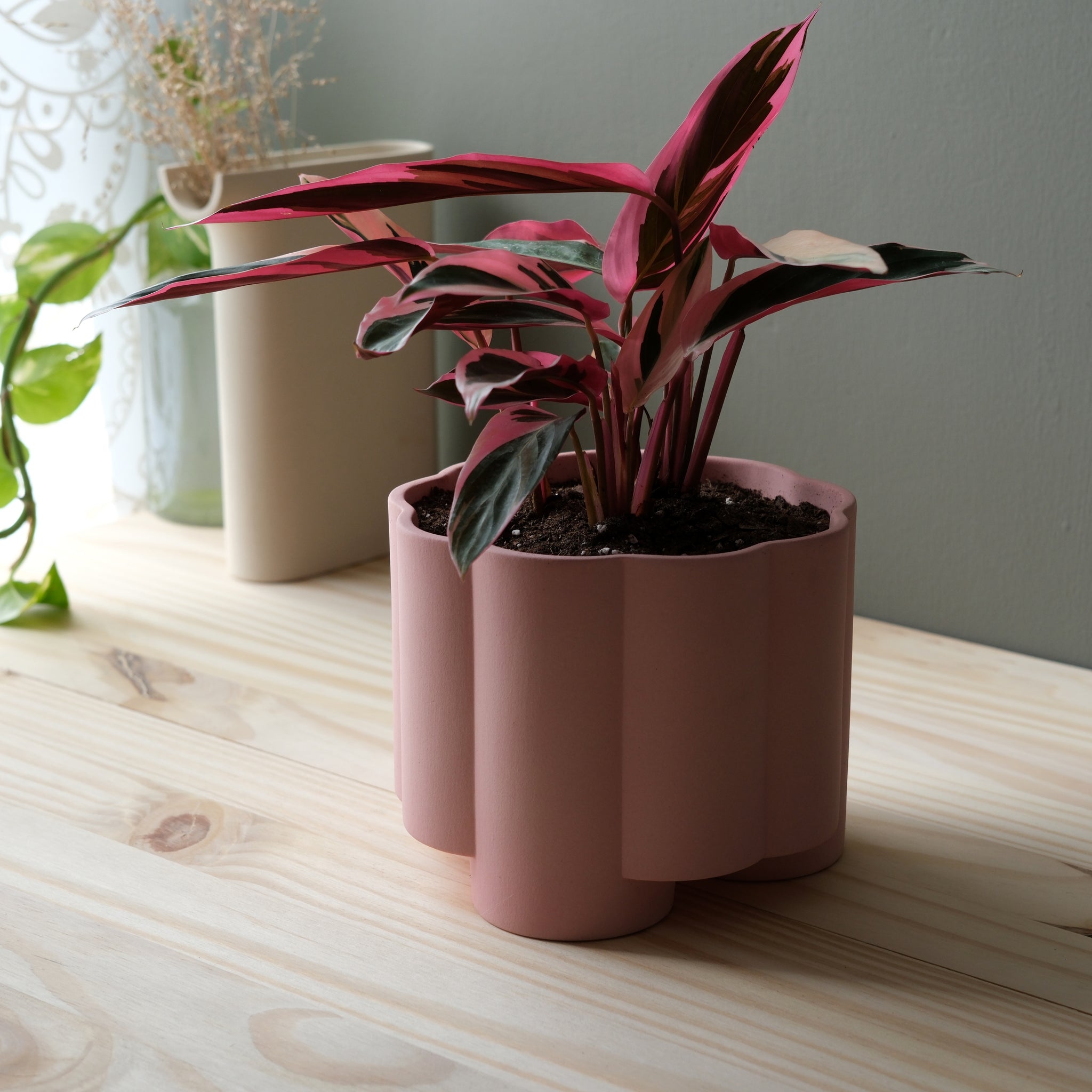 pillar plant pot Pillar Planter Black