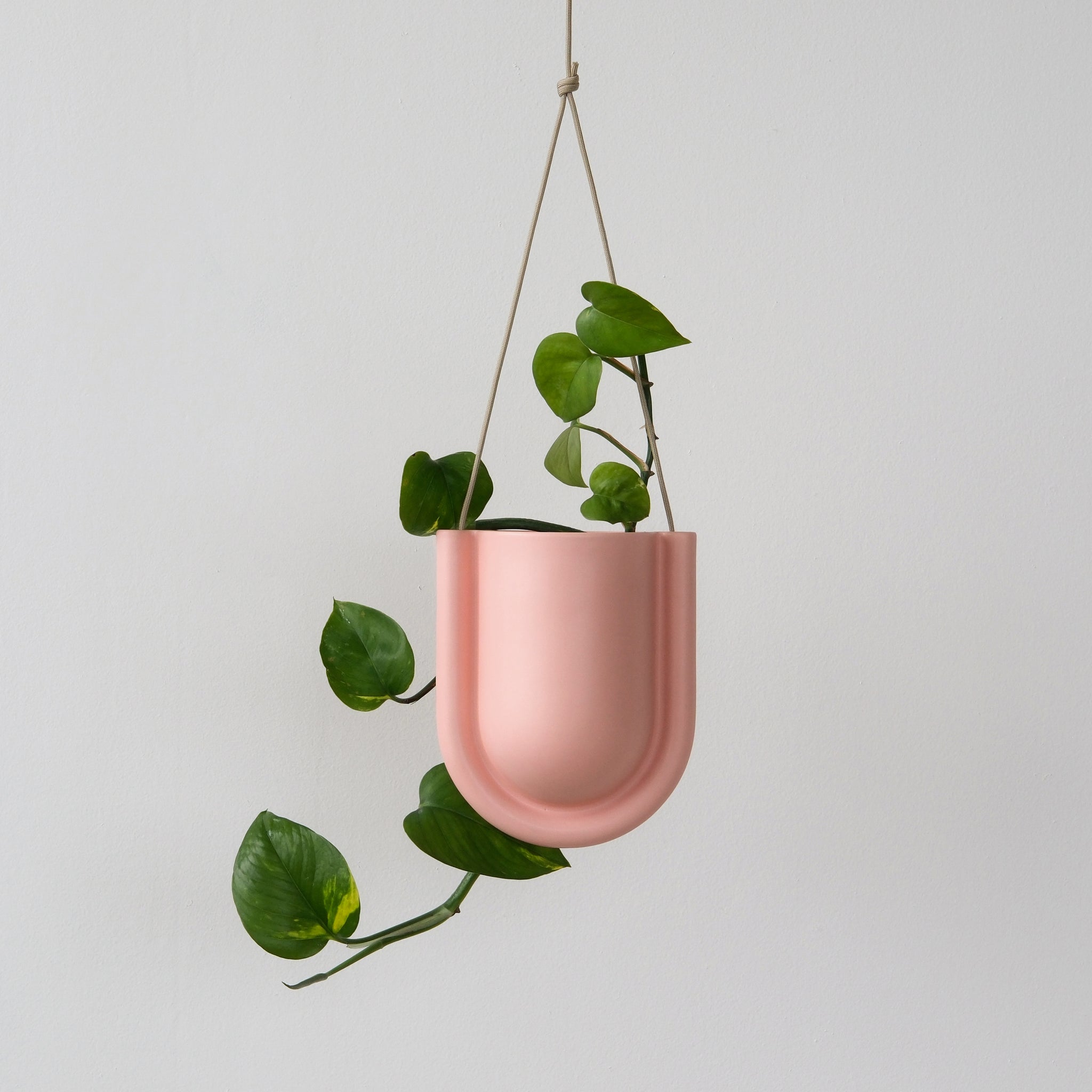 hanging planter pink Portico Planter