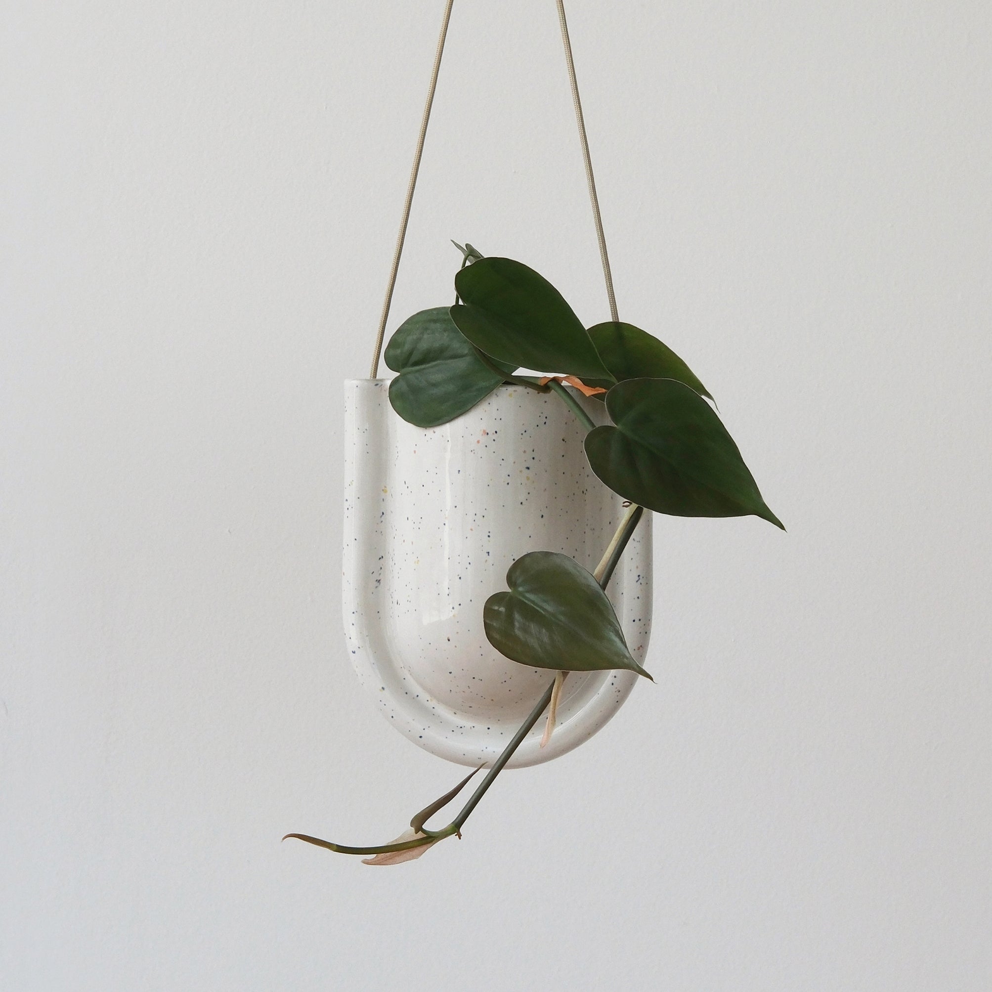 flat back wall hanging planter Portico Planter Speckle