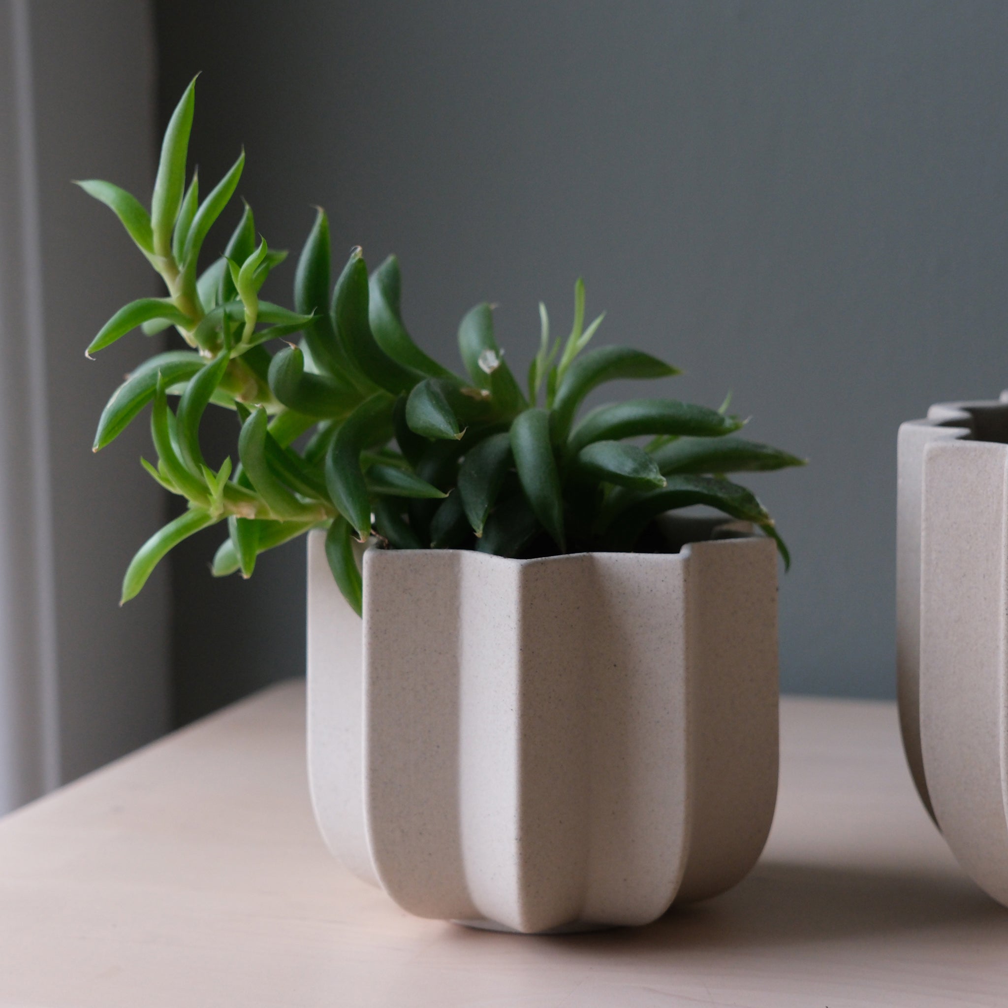 4 pot planter Wrap Planter - 4 Sizes