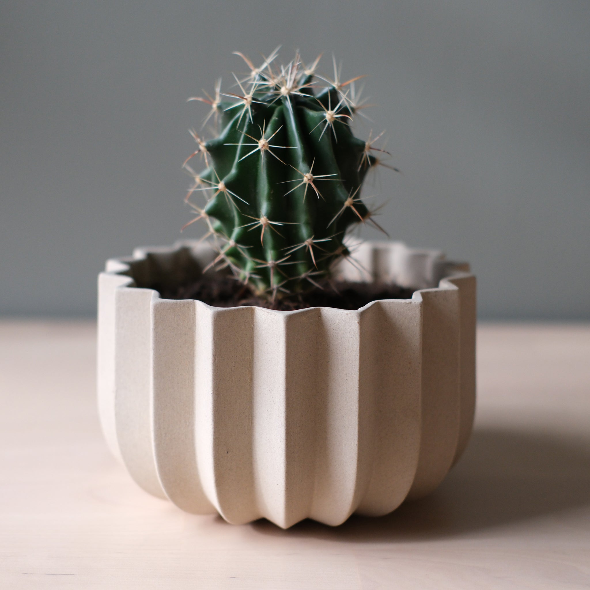 wrap around plant pots Wrap Planter