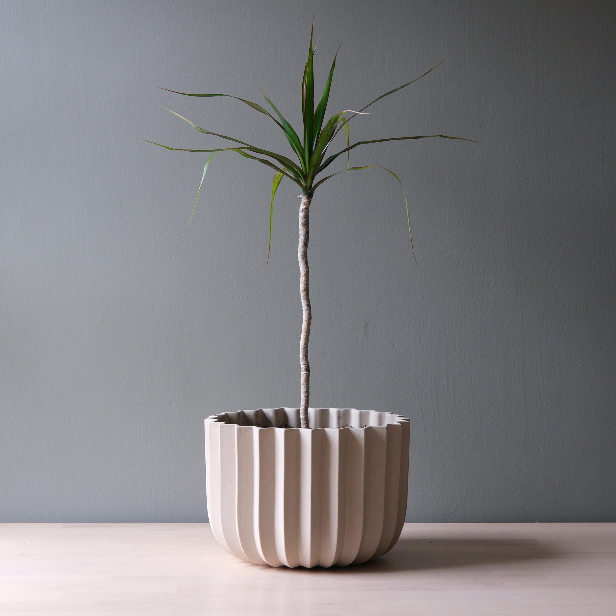 indoor planter modern Wrap Planter