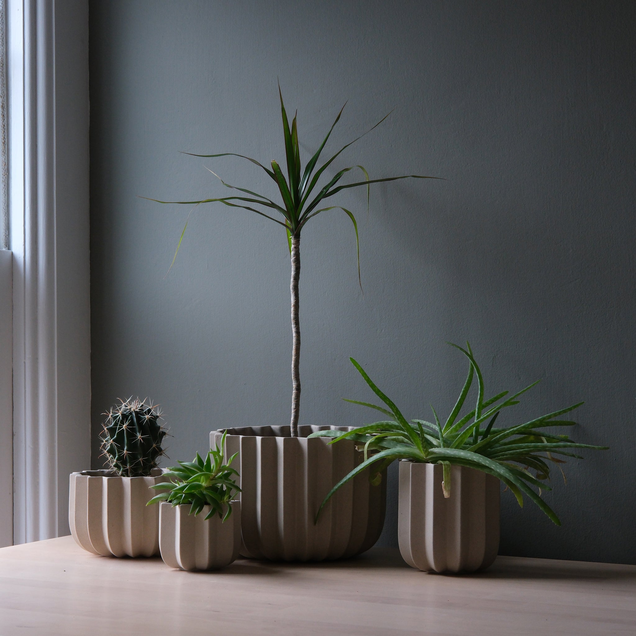 wrap around plant pots Wrap Planter - 4 Sizes