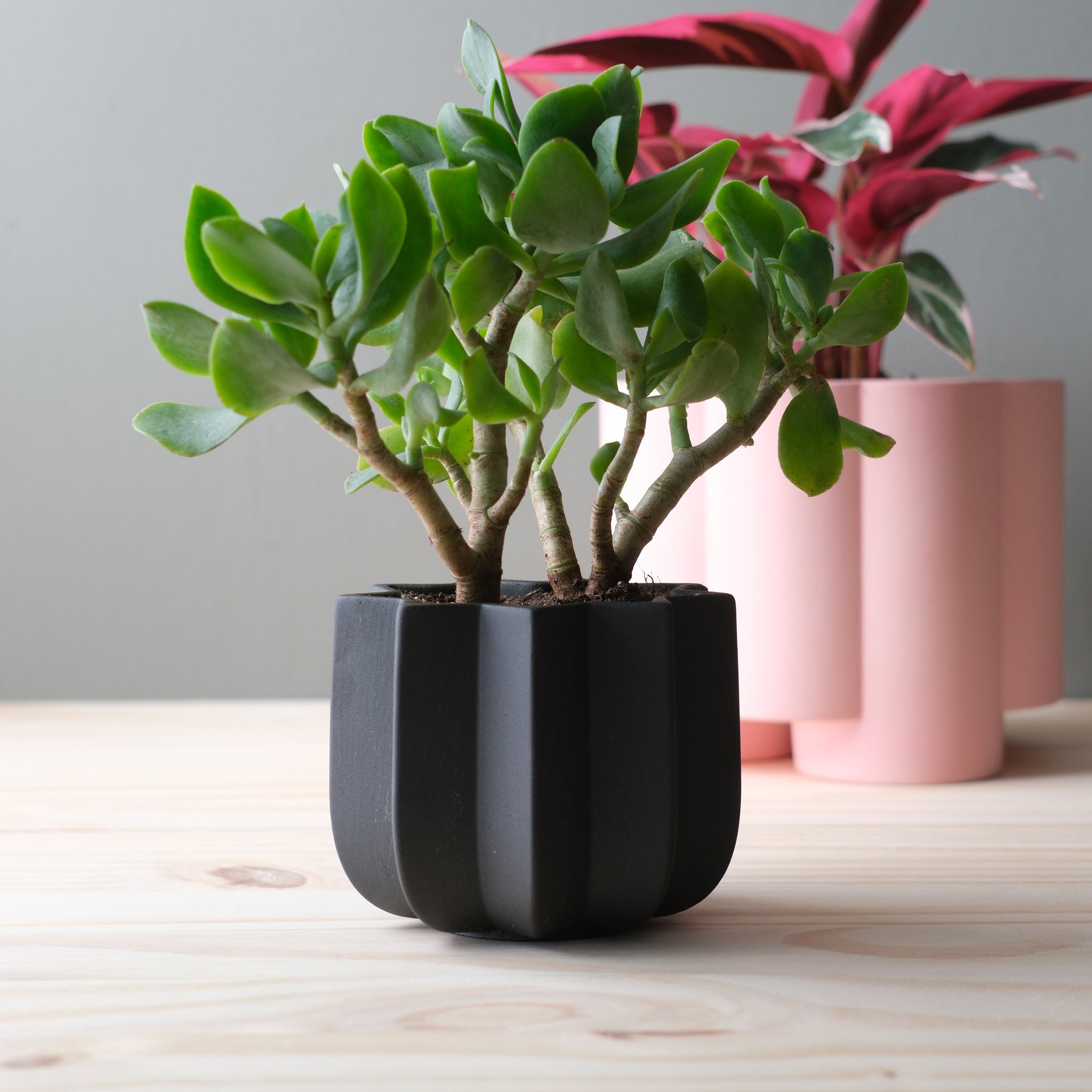 black matte plant pot Wrap Planter - 4 Sizes
