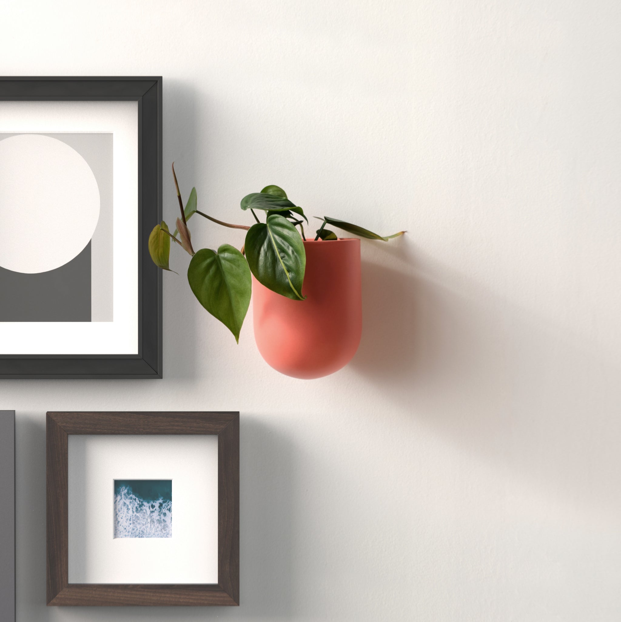 ceramic hanging wall planter Bender Wall Planter Bone